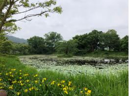 함평군, '모정마을숲' 국가산림문화자산 지정 기사 이미지