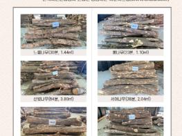 국산 활엽수 공급 개선, 소규모 목재공방 재료비 부담 완화 기사 이미지