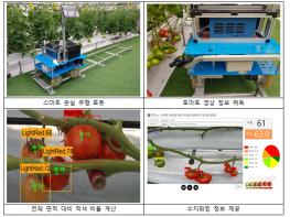 로봇과 인공지능으로 토마토 수확시기 예측한다 기사 이미지