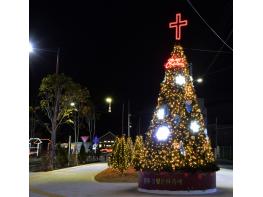 ‘2022 진주크리스마스트리 참빛문화축제’4일 개막 기사 이미지