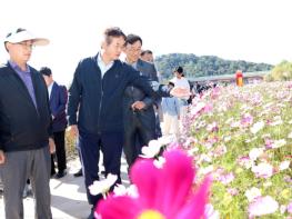 고양시, 코스모스 넘실대는 가을 풍경… ‘창릉천 코스모스 축제’ 개최 기사 이미지