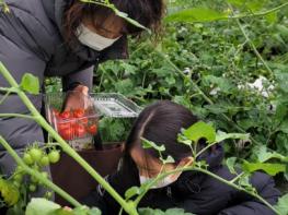 광주광역시 “청년농부와 함께 농촌체험해요” 기사 이미지