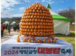 영암군  주홍빛 영암 금정대봉감 축제를 맛나게 물들이다 기사 이미지