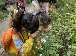 지리산국립공원 전남사무소, 꽃길만 걷게 해줄게! 기사 이미지