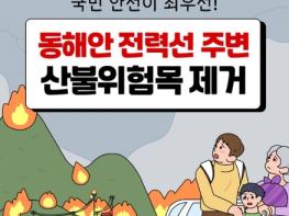 산림청, 동해안 전력선 주변 산불위험목 제거 기사 이미지