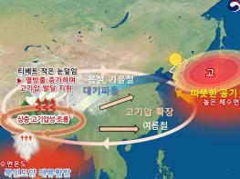 기상청, 2024년 우리나라 113년 관측 이래 가장 더운 해 역대 최고 기록 경신 기사 이미지