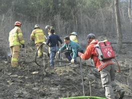 순창군, 연이은 산불에도‘철벽’대응.. 주민 안전 지켜 기사 이미지
