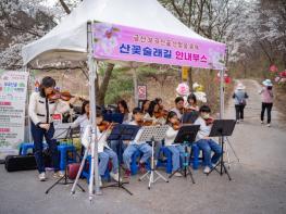 금산군, 보곡산골 산벚꽃축제 성료⋯9일간의 여정 마무리 기사 이미지