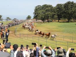 천년의 전통‘입목,’ 제주마 문화축제로 화려한 개막 기사 이미지