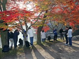 가을 명소 정읍 내장산, 고운 단풍 빛깔 뽐내…“다음 주 절정 예상” 기사 이미지