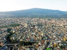 제주시, 벌꿀 등급제 내년 본격화 '제주벌꿀 품질 높인다' 기사 이미지