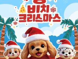 제주관광공사, 반려견과 함께하는 비치크리스마스 기사 이미지