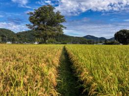 순창군, 민선8기 ‘농민 기본소득 200만원’ 공약 이행 완료! 기사 이미지