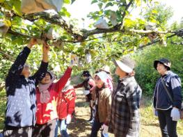 전남 여성농어업인 행복바우처 31일까지 사용하세요 기사 이미지