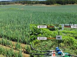 전남농기원, 특허기술 민간 이전으로 상용화 가속 기사 이미지