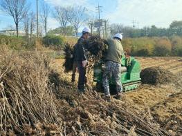 “태우지 말고 신청하세요”… 정읍시, 찾아가는 영농부산물 파쇄단 가동 기사 이미지