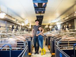 정읍시, ‘깨끗한 축산농장’ 265곳 지정… 목표 초과 달성 기사 이미지