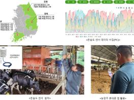 전남대, 농장 내부 센서로 젖소 ‘체감 열 스트레스’ 규명 기사 이미지