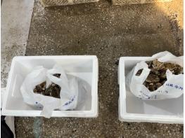 여수시, 안전하고 투명한 수산물 공급 환경 조성 나서 기사 이미지