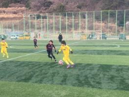 창원특례시, 2026 유소년축구 동계훈련 개최 기사 이미지