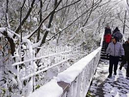 해남 관광 1,000만 시대 ‘눈앞’ 지난해 985만명 해남찾았다 기사 이미지