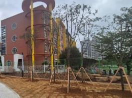 순천시, 나무은행 수목 활용으로 예산‧환경 두 마리 토끼 잡다 기사 이미지