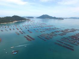 완도군, 해조류·전복 산업 기후 위기 대응 전략 마련 기사 이미지