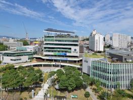 서구, 설 명절 대비 주민생활안정 종합대책 추진 기사 이미지