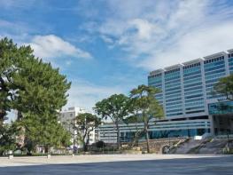 해남군, 주민생활편익사업 합동설계로 10억원 예산절감  기사 이미지