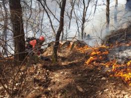경남도, 함양군 마천면 산불... 23일 10시 기준 진화율 58% 기사 이미지