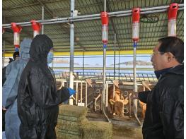 충북도, 상반기 구제역백신 일제접종 독려 기사 이미지