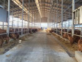 정읍시, 2026년 축산업 허가·등록 농가 2096곳 정기 점검 실시 기사 이미지