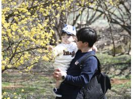 봄이 오면, 남원이 꽃길이 된다 기사 이미지