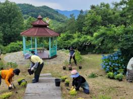 전남도, 정원가드너 양성해 생활 속 정원문화 확산 기사 이미지