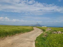 서귀포시, 가파도 ‘섬-기업 상생 관광프로젝트’ 선정 기사 이미지