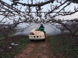 신안군, 배 재배농가 과수화상병 사전 약제방제 당부 기사 이미지