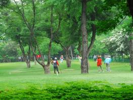 서울시, 연간 3만 명 찾는 잠실파크골프장 4월 1일 재개장… 3월 15일 예약 기사 이미지