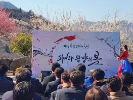 제25회 광양매화축제, 화려한 개막으로 열흘간 일정 돌입 기사 이미지