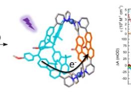 전남대, 광유도 전하 분리 초분자 나노구조 규명 기사 이미지