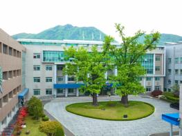 화순군 청년센터'청춘들락', 2분기 프로그램 안내 기사 이미지