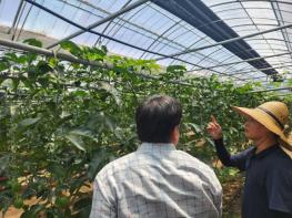 제주농업기술센터, 다양성과 경쟁력 강화를 위한 새소득작목 육성 주력 기사 이미지