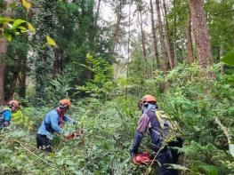 영광군 “내 산 그냥 두지 마세요” 신청만 하면 숲을 가꿔드립니다 기사 이미지