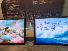 제25회 광양매화축제, 전시로 여운 잇는다 기사 이미지