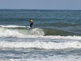 포항 용한 서퍼비치, ‘제8회 메이어스컵 서핑 챔피언십’ 성료 기사 이미지