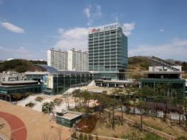 포항시, 종량제봉투 가격 인상 계획 없어…사재기 자제 당부 기사 이미지