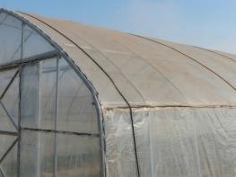 청양군, 봄철 황사·미세먼지 대비 시설하우스 관리 ‘비상’ 기사 이미지