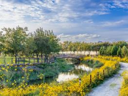 부안군, 줄포만 노을빛 정원 체험 프로그램 시범 운영 기사 이미지