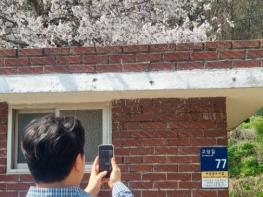 ‘길 찾기 도우미’ 강진군, 주소정보시설 일제 점검 기사 이미지