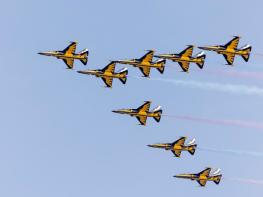 영등포구, 5일 블랙이글스 여의도 봄꽃축제서 축하 비행…'소음에 놀라지 마세요' 기사 이미지