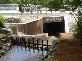 기후에너지환경부, '국립공원 생태통로' 야생동물 이용 늘고 동물 찻길 사고 줄었다 기사 이미지